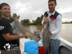170410 PIQUE LA PAZ10