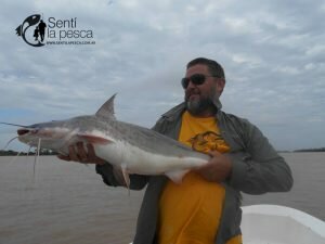 170410 PIQUE LA PAZ2