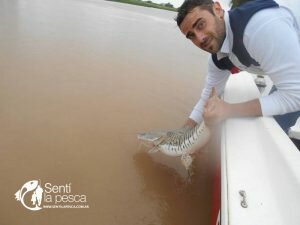 170410 PIQUE LA PAZ9