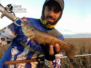 170410 VOLVIO LA LAGUNA EN SANTA FE (5)