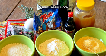 Masa y Maíz para Boga y Carpa