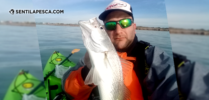 26/08/19 Pescadillas XXL en Santa Clara