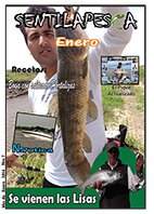 News Enero