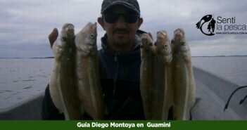 DIEGO MONTOYA en GUAMINI dest