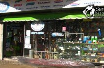 EL ABUELO DESTACADA