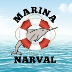 MARINA NARVAL LOGO