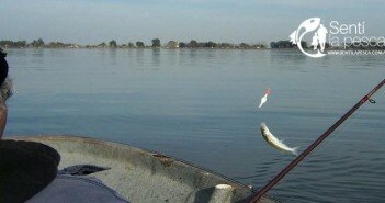 TECNICAS DE PESCA0