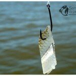 TECNICAS DE PESCA2