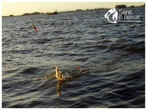 TECNICAS DE PESCA1