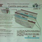 1 ENCUENTRO DEPORTIVO