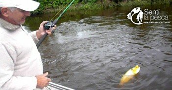 150821 PESCA EN RECONQUISTA DEST