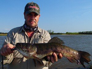 150822 CHARLA PESCA TARARIAS
