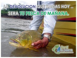DEVOLUCION
