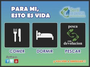 ESTO ES VIDA1
