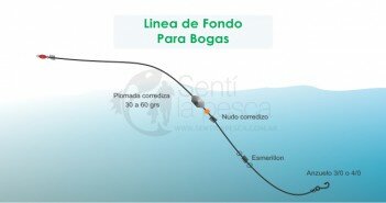 LINEA DE FONDO PARA BOGAS