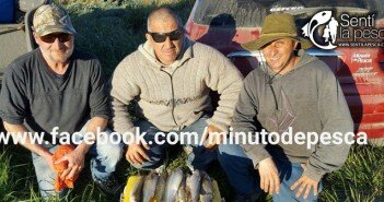 08/09/15 Pescando en Canal 5 150809 PESCA EN CANAL 5 Y RUTA 11 dest