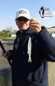 150908 PESCA EN EL ABANICO