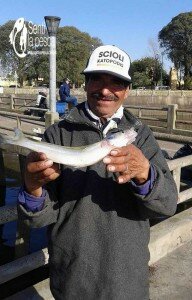 150908 PESCA EN EL ABANICO3