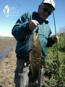150921 TARUS EN GUALEGUAY (20)