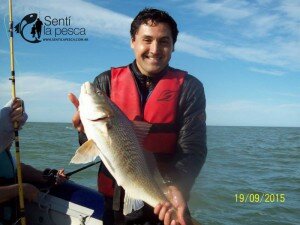 150923 CORVINAS EN SANTA TERESITA