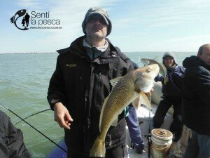 150923 CORVINAS EN SANTA TERESITA4