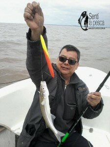150928 PEJES EN QUILMES (10)
