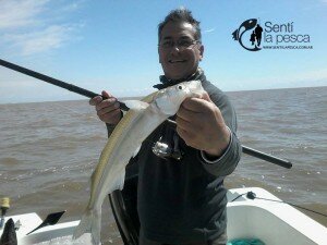 150928 PEJES EN QUILMES (2)