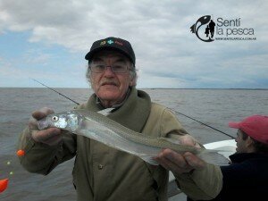 150928 PEJES EN QUILMES
