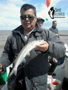 150928 PEJES EN QUILMES (7)