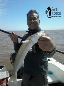 150928 PEJES EN QUILMES (9)