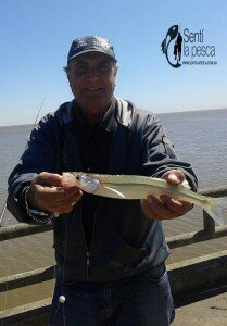 150930 MATUNGOS EN LA COSTANERA6