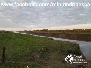 150930 PESCA EN CANAL 53