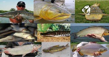 Ictiofauna y Recursos Pesqueros DES