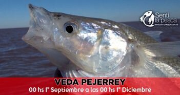 VEDA PEJERREY dest