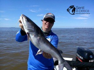 151002 INFORME PRO ANGLERS3