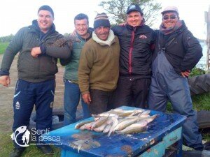 151006 PEJES EN ADELA2