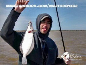 151006 PESCA EN ALBUFERA MARCHI7
