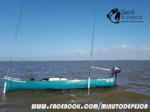 151006 PESCA EN ALBUFERA MARCHI8