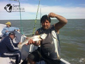 LOS POCITOS (15)