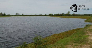 151118 PESCA DE TARUS EN CEIBAS dest