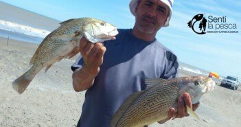 19/11/15 Variada en San Blas 151119 VARIADA EN SAN BLAS dest