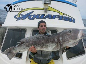 151123 EMBARCADOS EN MDQ