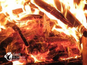 MANEJO DEL FUEGO (2)