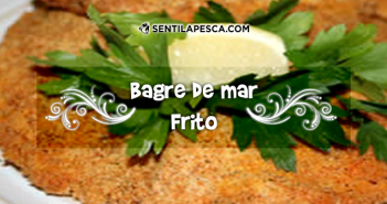 bagre de mar frito sentilapesca