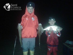 151222 FARO QUERANDI8