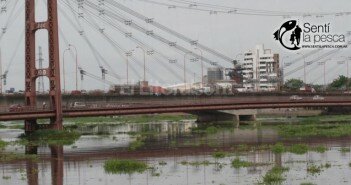 160114 RIO PARANA dest