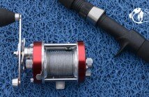 REEL ROTATIVO eest