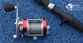 REEL ROTATIVO REEL ROTATIVO eest