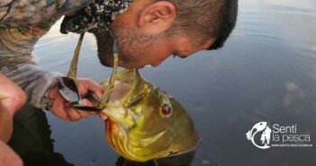 TEMPORADA TUCUNARE EN COLOMBIA dest