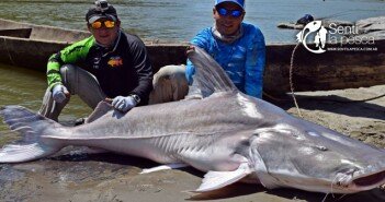 120212 INCREIBLE PESCA DE COLOMBIA dest
